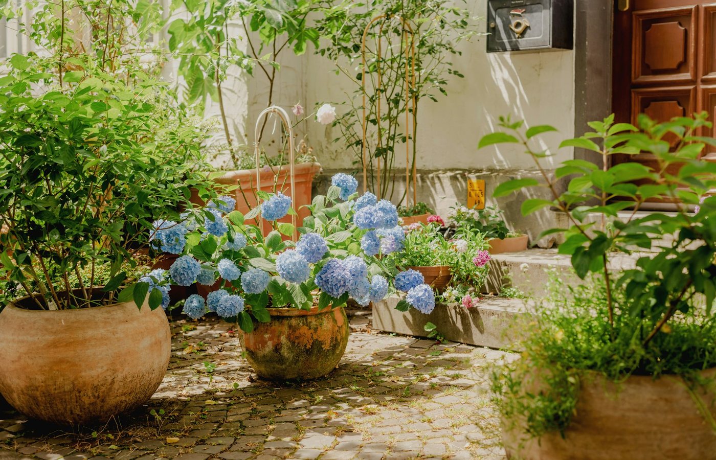 De tuin